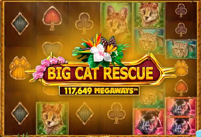 En iyi slot deneyimi için Amoncasinodownload mağaza oyunları